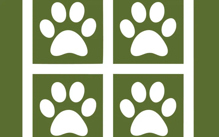 4 Patas Clínica Veterinária