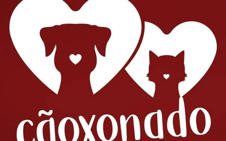 Clínica Veterinária 24 Horas Barão Geraldo Caoxonado - Hospital Veterinário Campinas